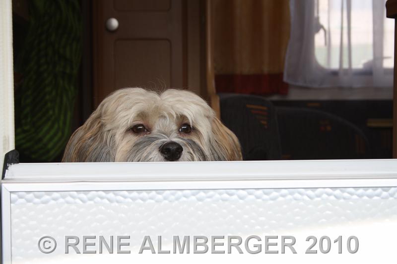 Bild 084.jpg